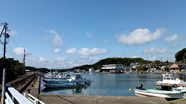 f:id:samete_yume:20251015182932j:image