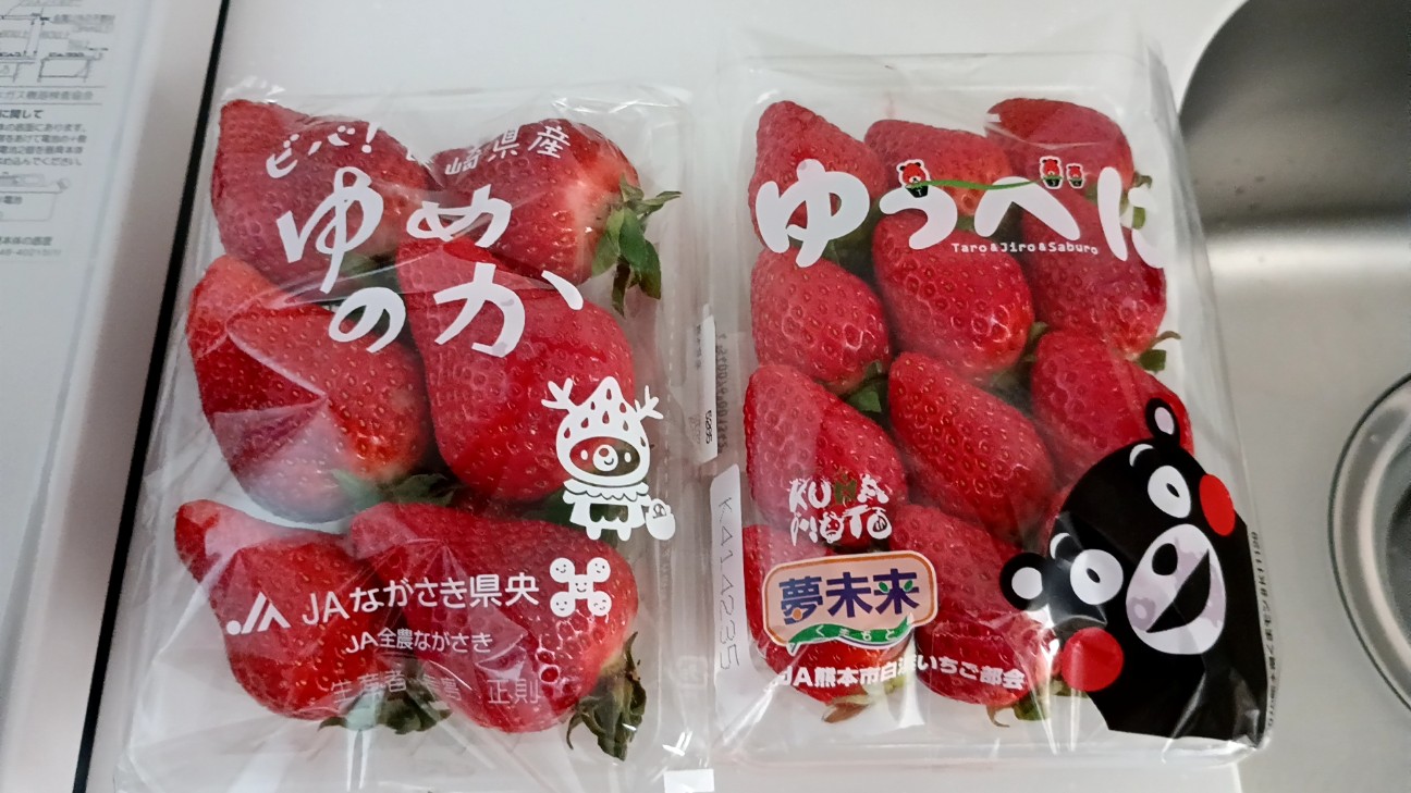 f:id:samete_yume:20260228201929j:image