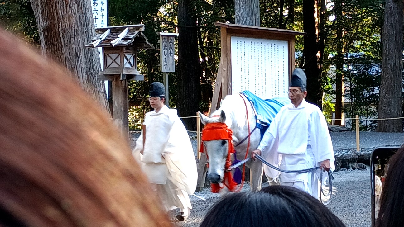 f:id:samete_yume:20260228202420j:image