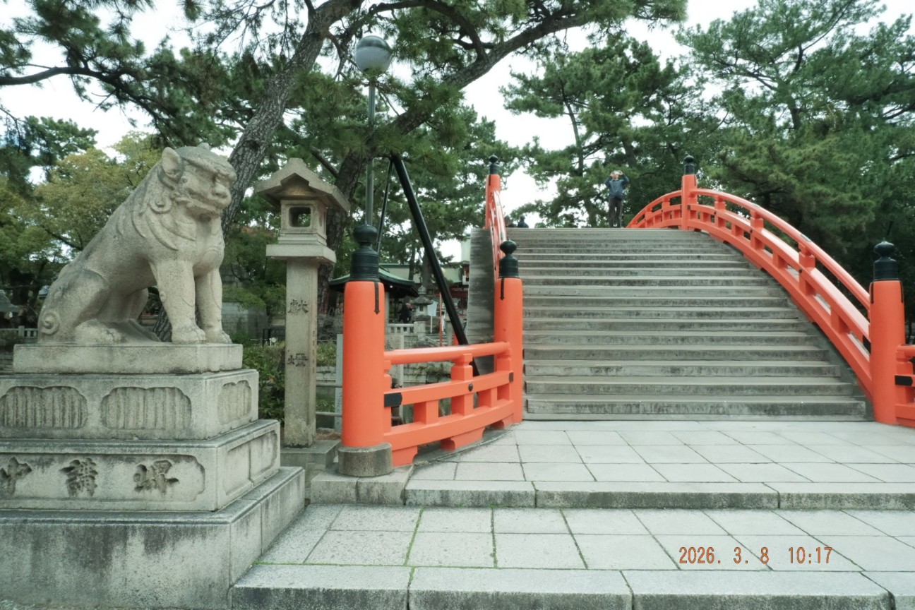 f:id:samete_yume:20260309000833j:image