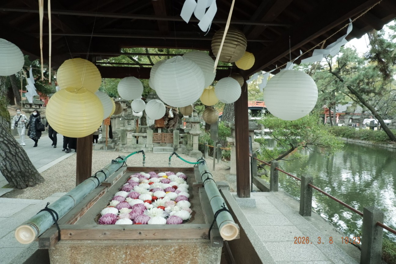 f:id:samete_yume:20260309001045j:image