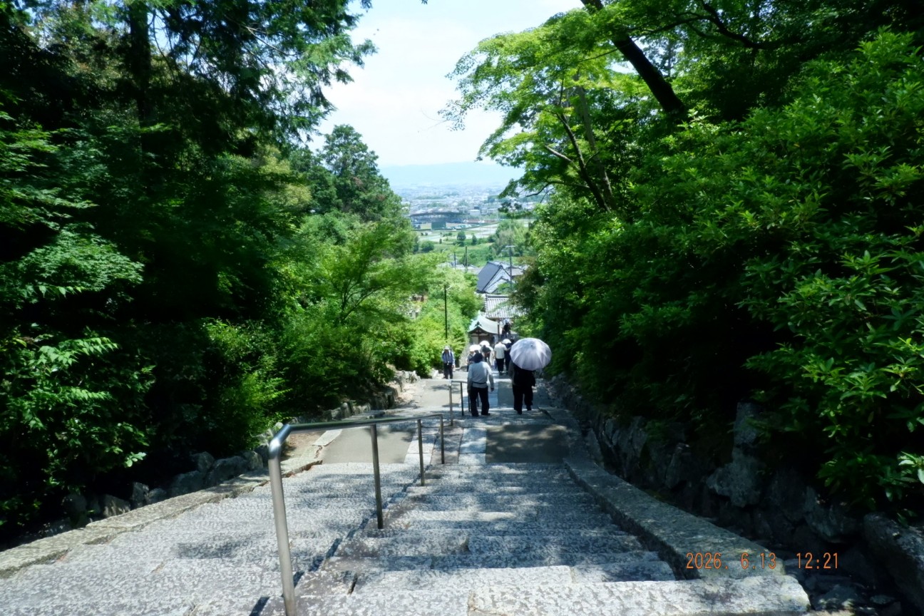 f:id:samete_yume:20260615165740j:image f:id:samete_yume:20260615165740j:image