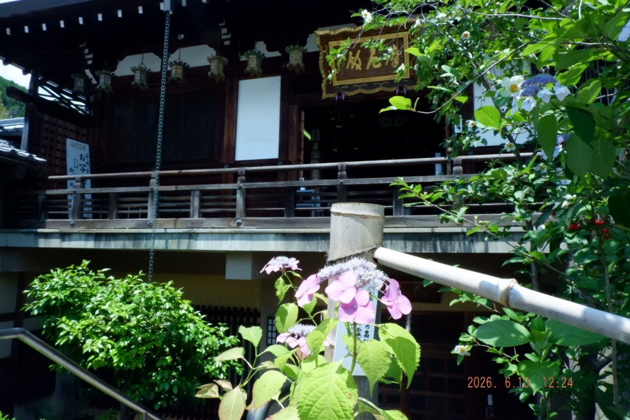 f:id:samete_yume:20260629164844j:image f:id:samete_yume:20260629164844j:image