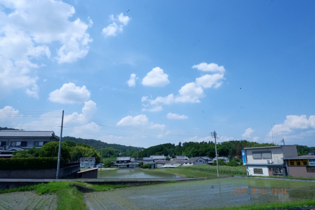 f:id:samete_yume:20260826165650j:image f:id:samete_yume:20260826165650j:image