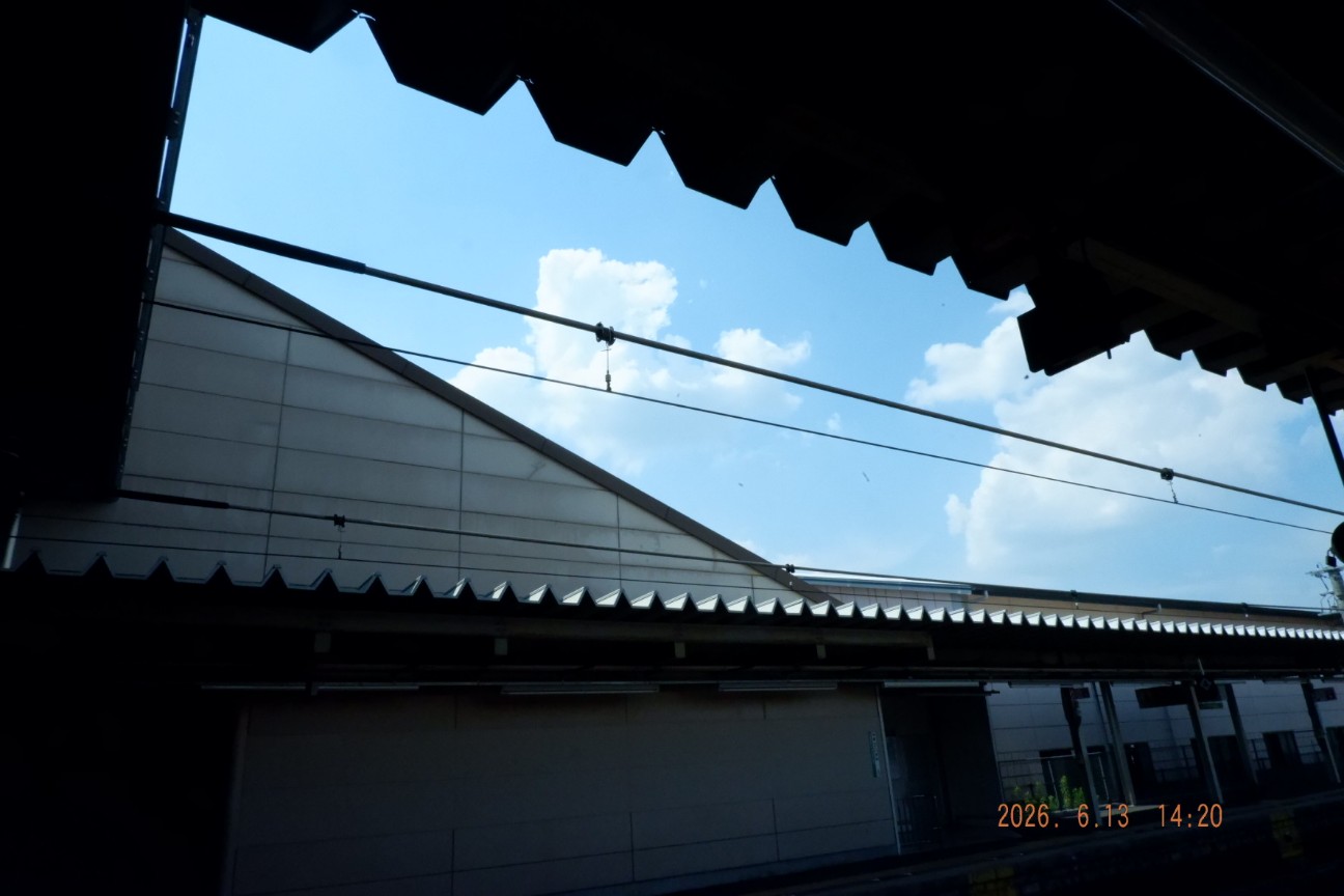 f:id:samete_yume:20260826165651j:image f:id:samete_yume:20260826165651j:image
