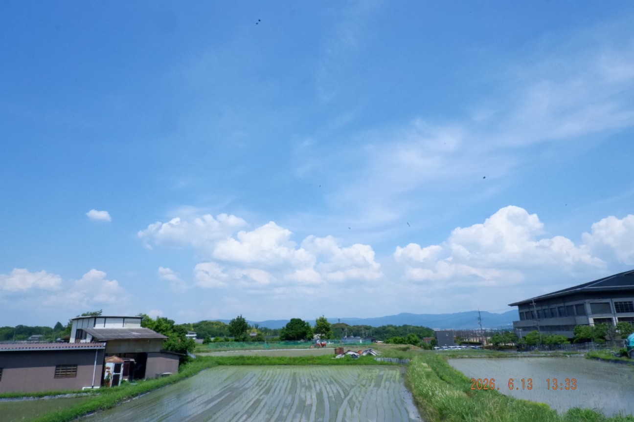 f:id:samete_yume:20260826165655j:image f:id:samete_yume:20260826165655j:image