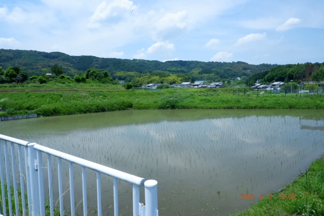 f:id:samete_yume:20260826165656j:image f:id:samete_yume:20260826165656j:image