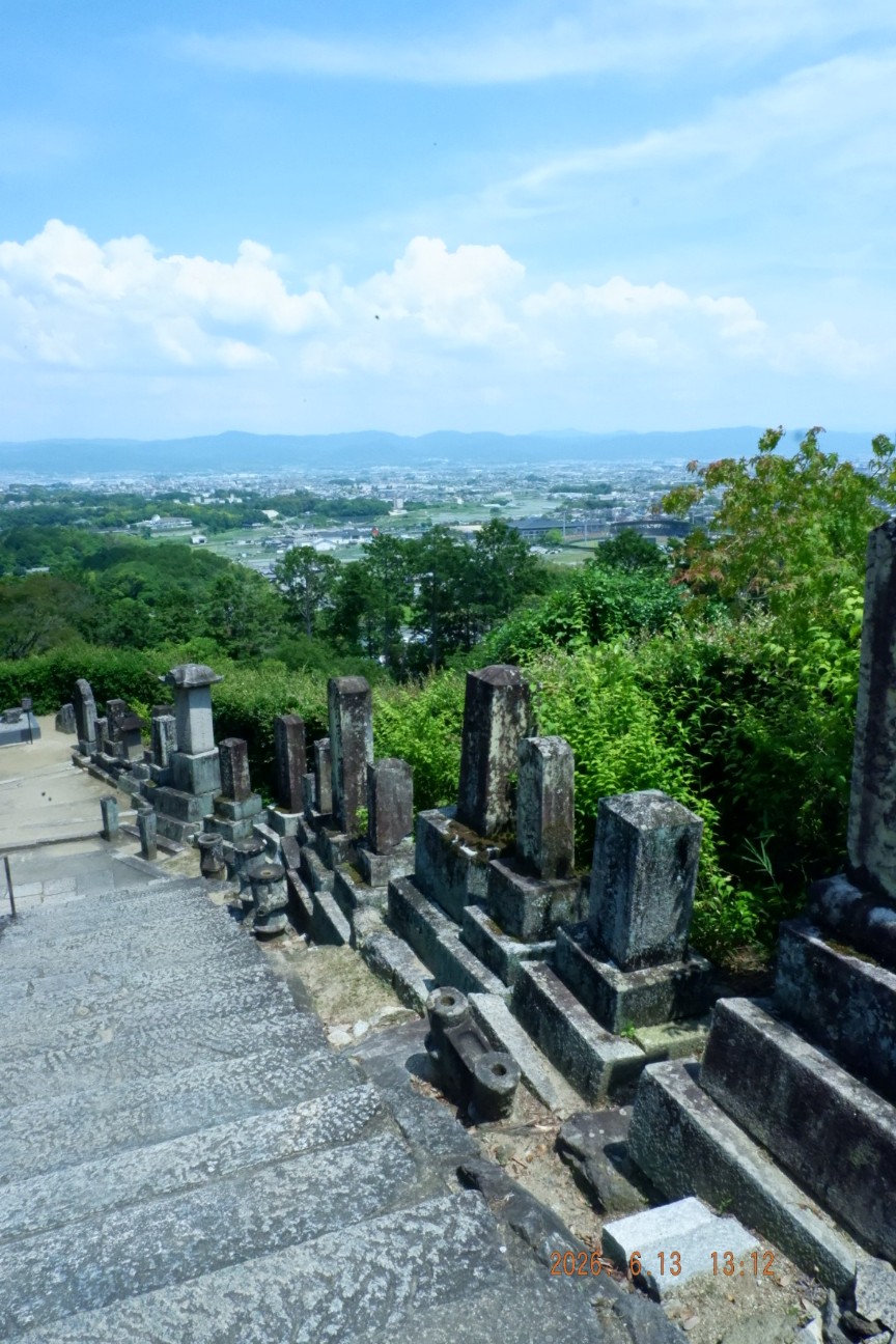 f:id:samete_yume:20260826165749j:image f:id:samete_yume:20260826165749j:image