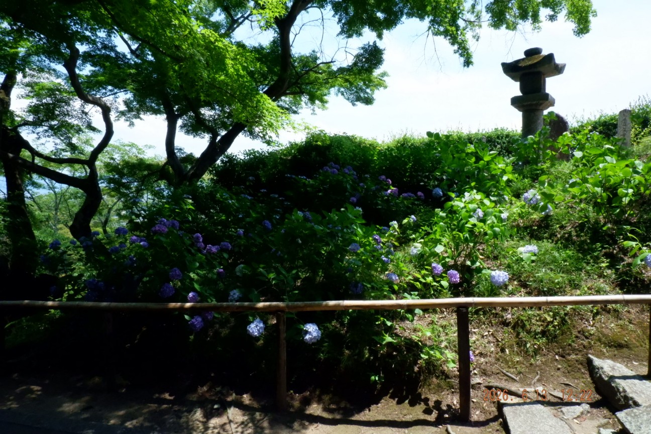f:id:samete_yume:20260826165906j:image f:id:samete_yume:20260826165906j:image