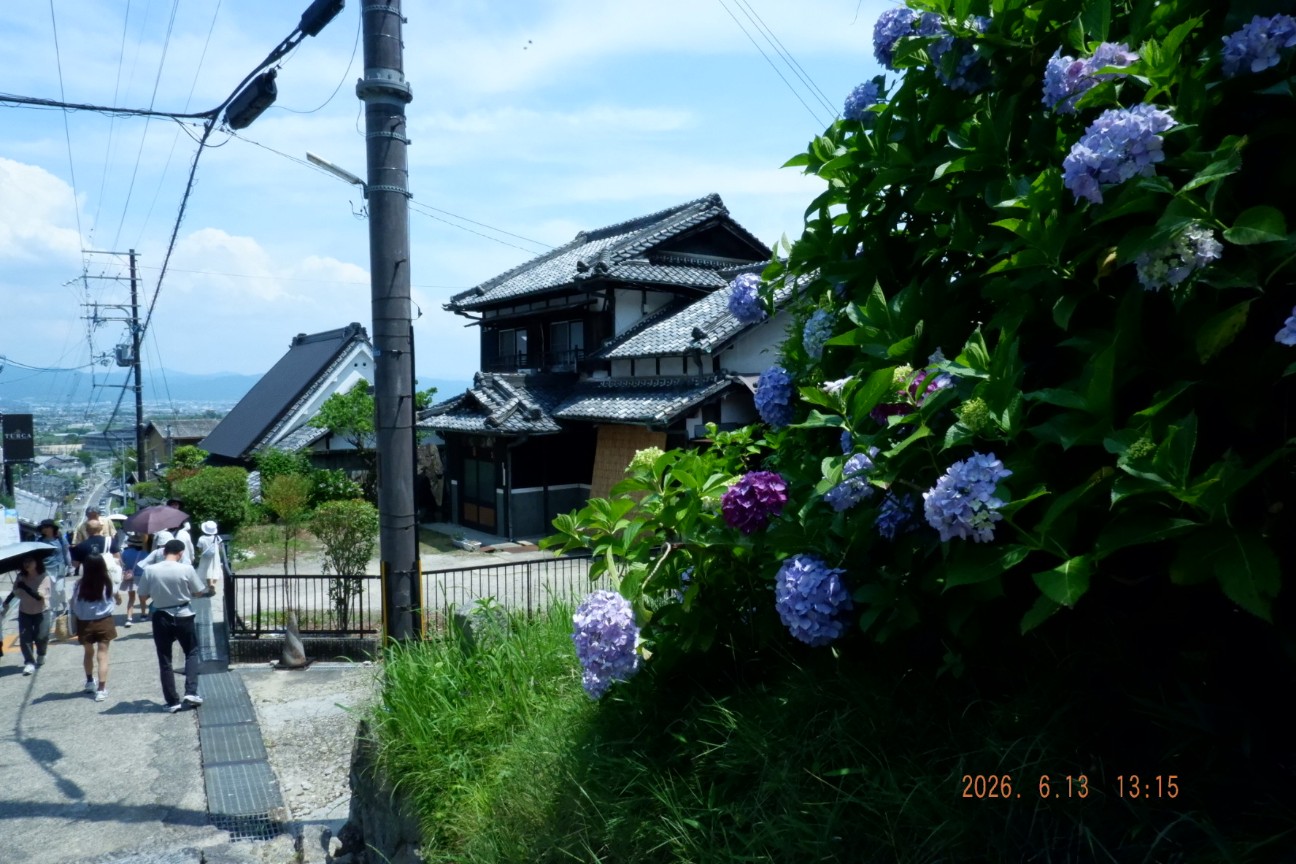 f:id:samete_yume:20260826165909j:image f:id:samete_yume:20260826165909j:image