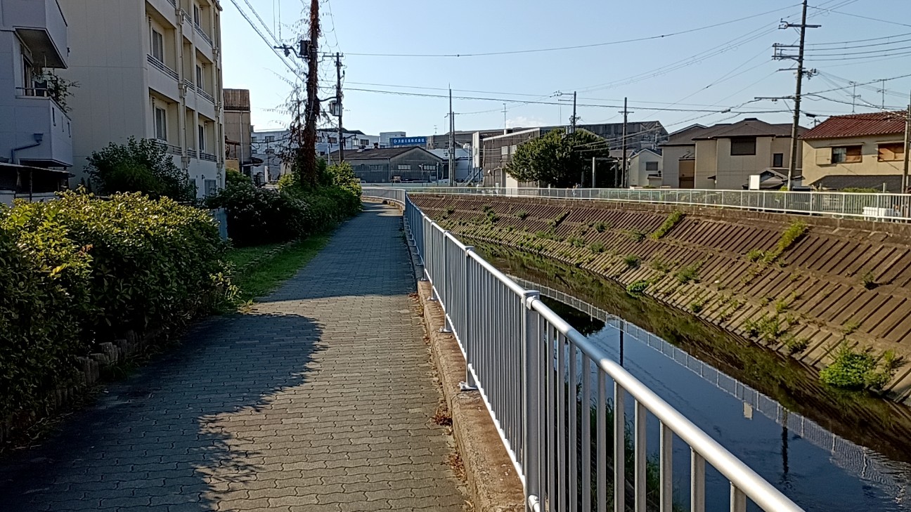 f:id:samete_yume:20260901080910j:image