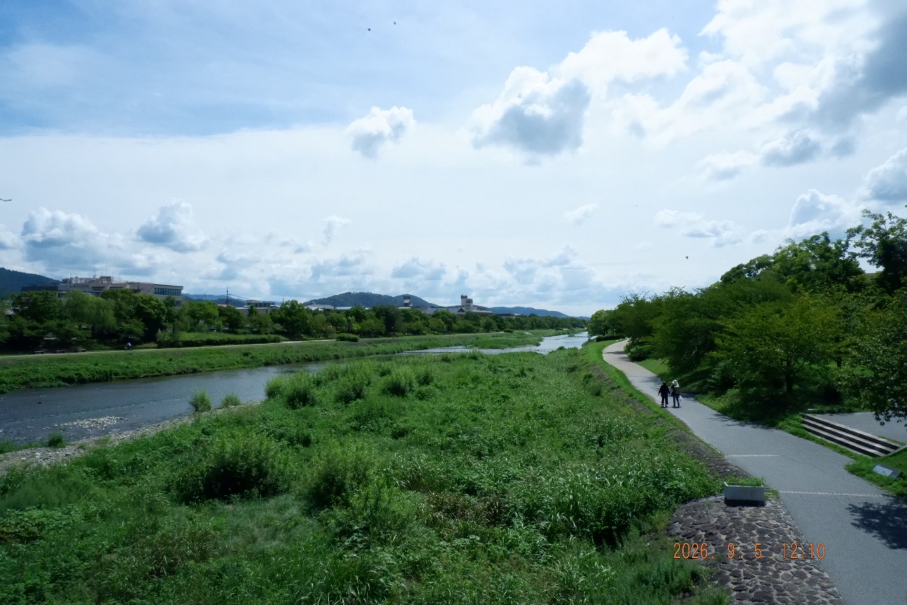 f:id:samete_yume:20260906101401j:image f:id:samete_yume:20260906101401j:image