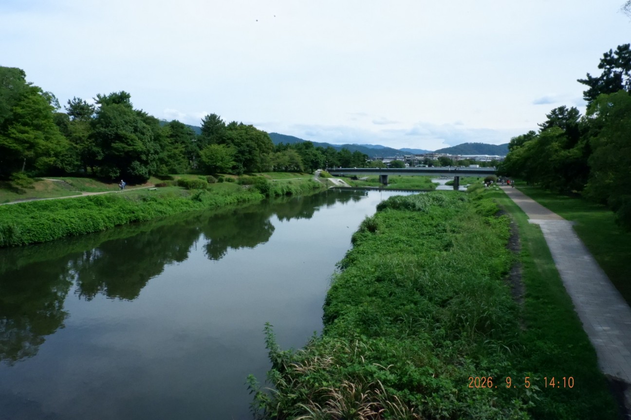 f:id:samete_yume:20260906101408j:image f:id:samete_yume:20260906101408j:image