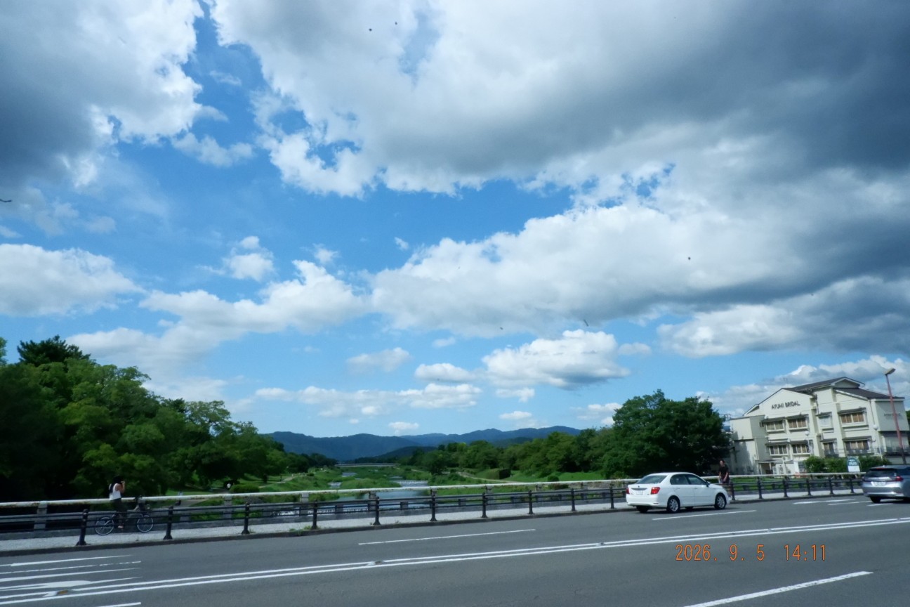 f:id:samete_yume:20260906101409j:image f:id:samete_yume:20260906101409j:image