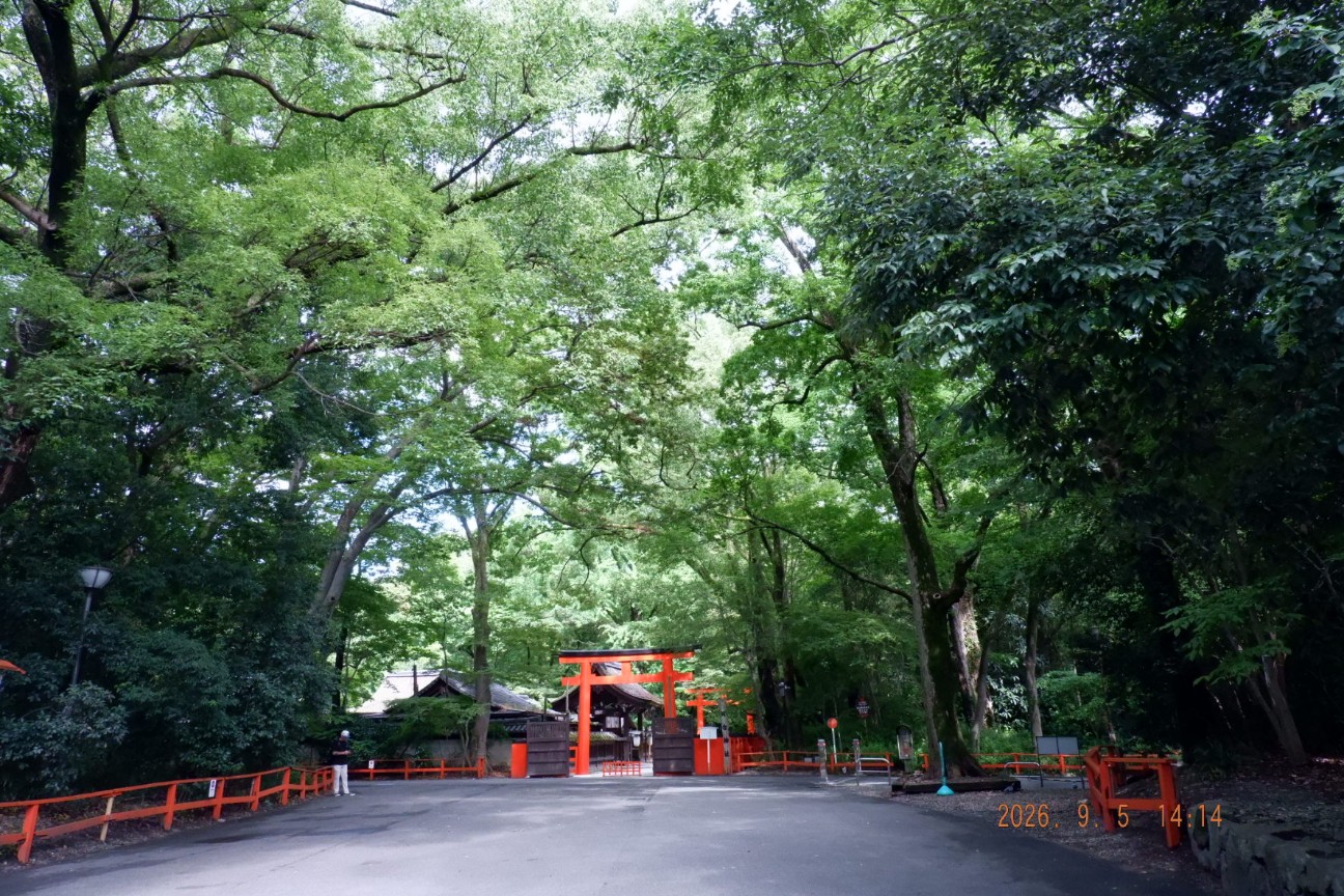 f:id:samete_yume:20260906101415j:image f:id:samete_yume:20260906101415j:image