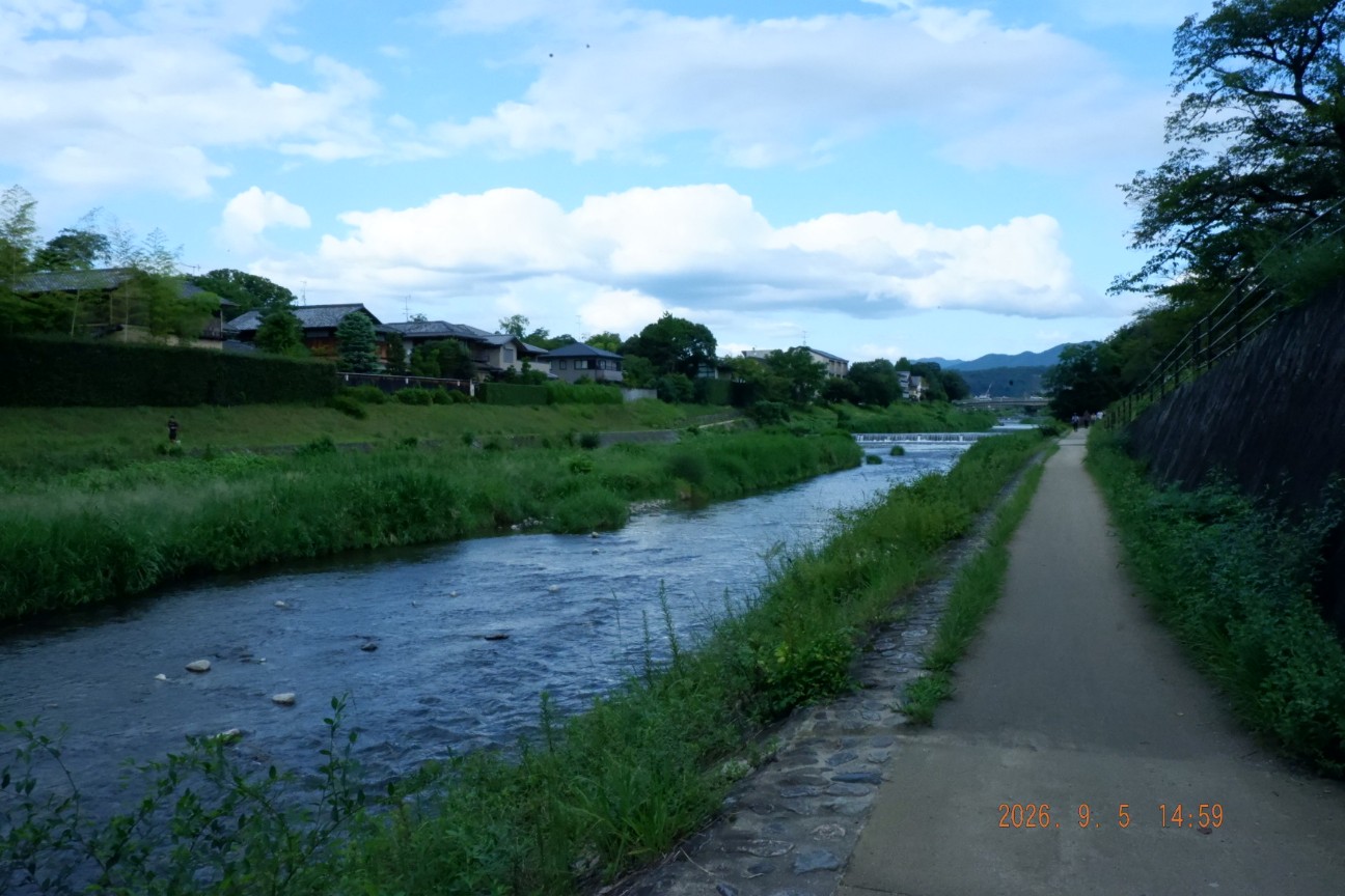 f:id:samete_yume:20260906101416j:image f:id:samete_yume:20260906101416j:image