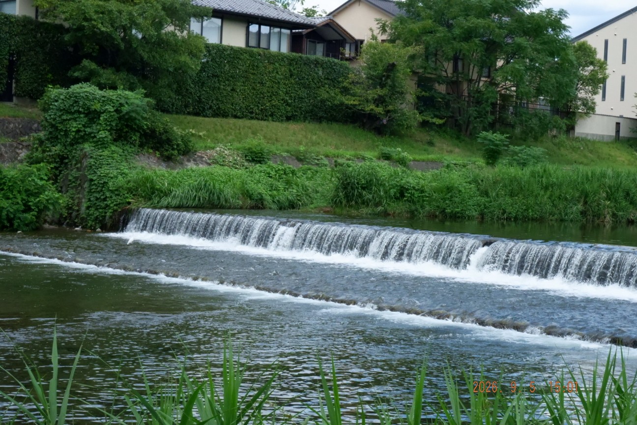 f:id:samete_yume:20260906101418j:image f:id:samete_yume:20260906101418j:image