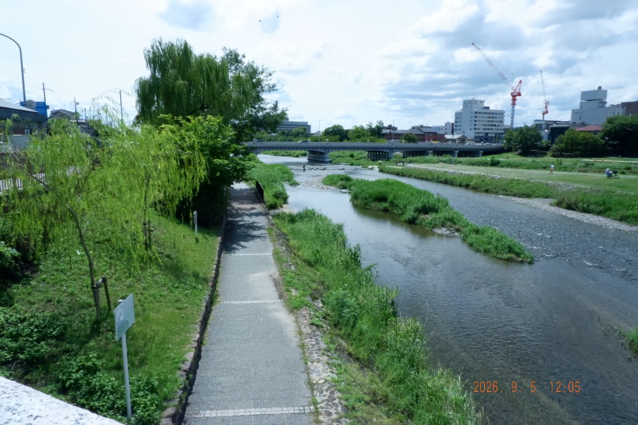 f:id:samete_yume:20260906101427j:image f:id:samete_yume:20260906101427j:image