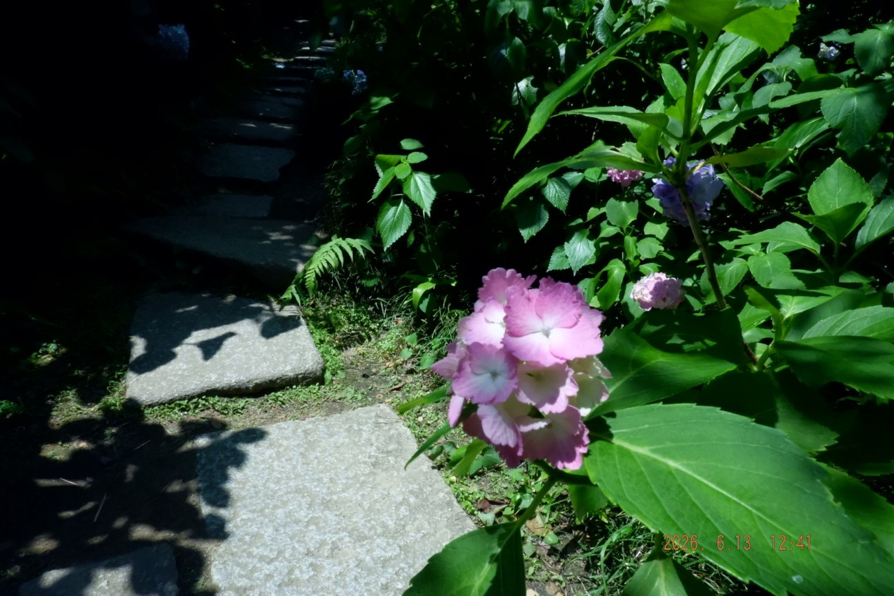 f:id:samete_yume:20260915123253j:image f:id:samete_yume:20260915123253j:image
