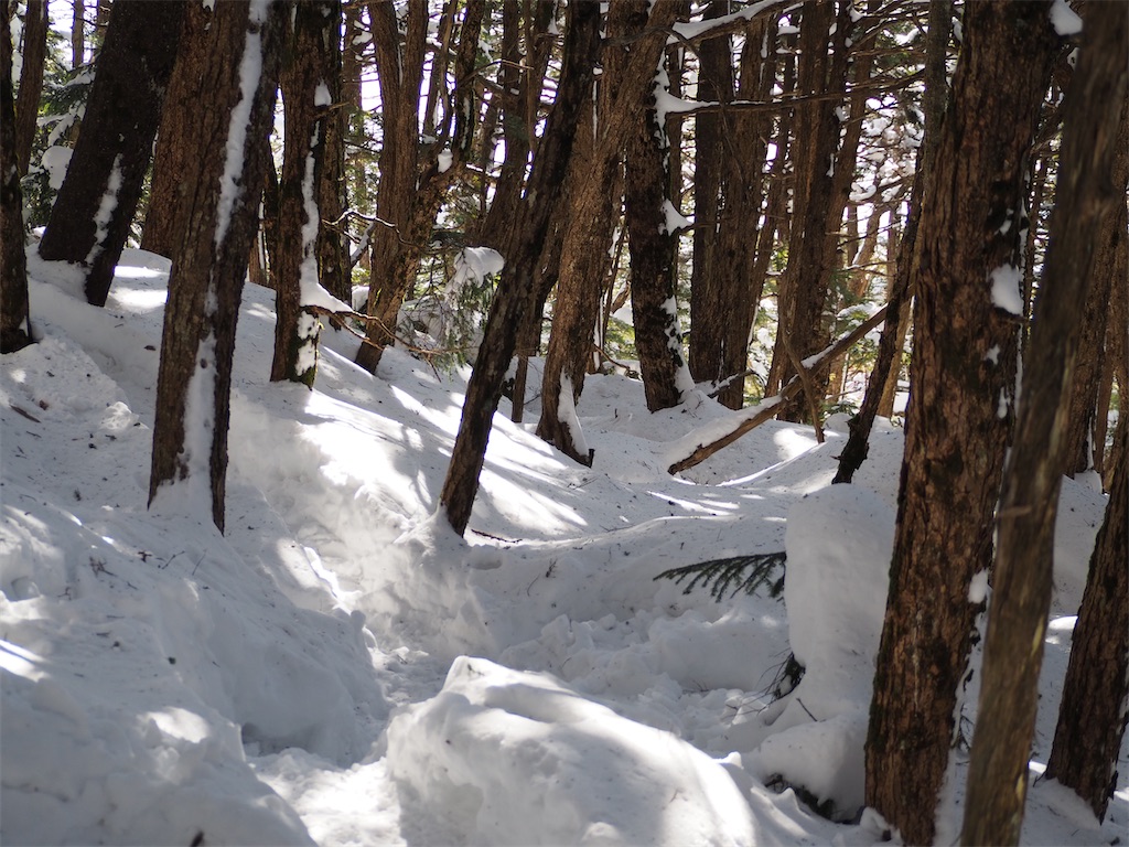 f:id:sameyosi:20210212093516j:image