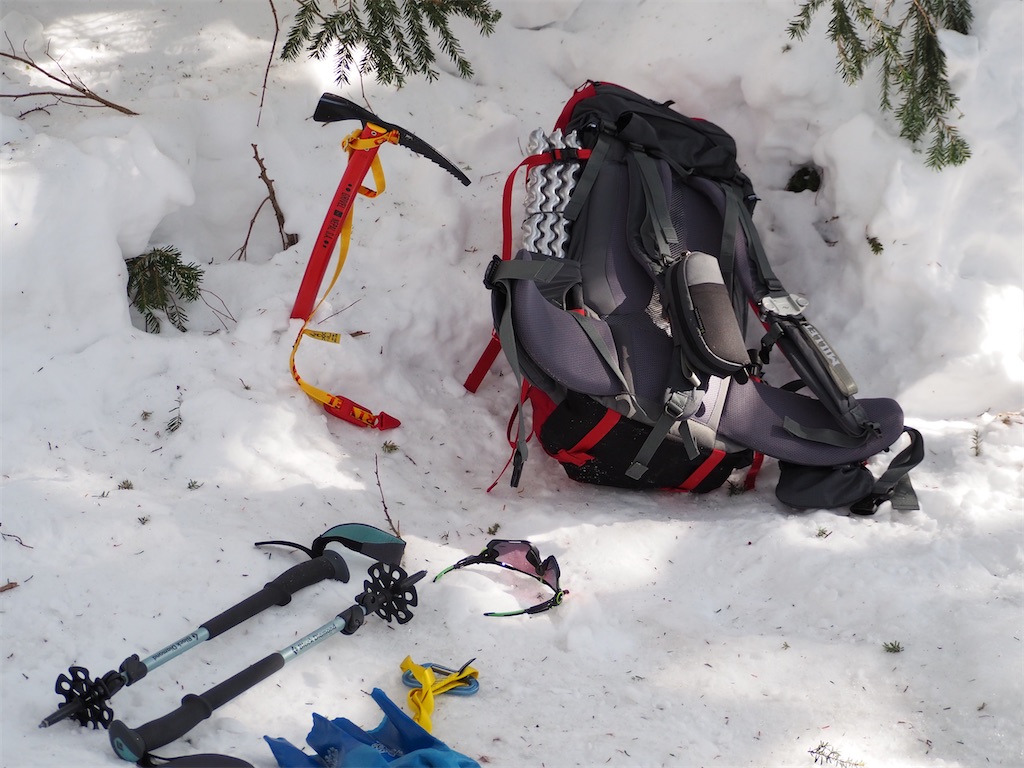 f:id:sameyosi:20210212093529j:image