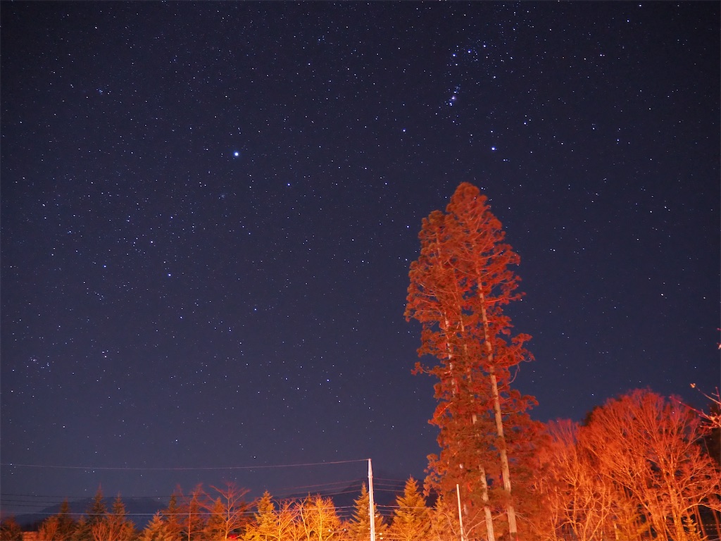 f:id:sameyosi:20210212134330j:image