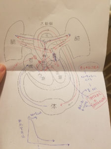f:id:sami-imi-imas:20190605122235j:plain f:id:sami-imi-imas:20190605122235j:plain