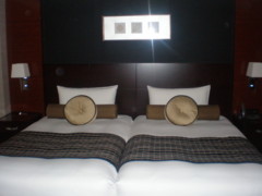 f:id:samiya33:20090612180912j:image