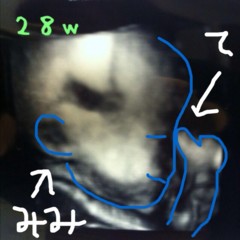 f:id:samiya33:20120521210146j:image