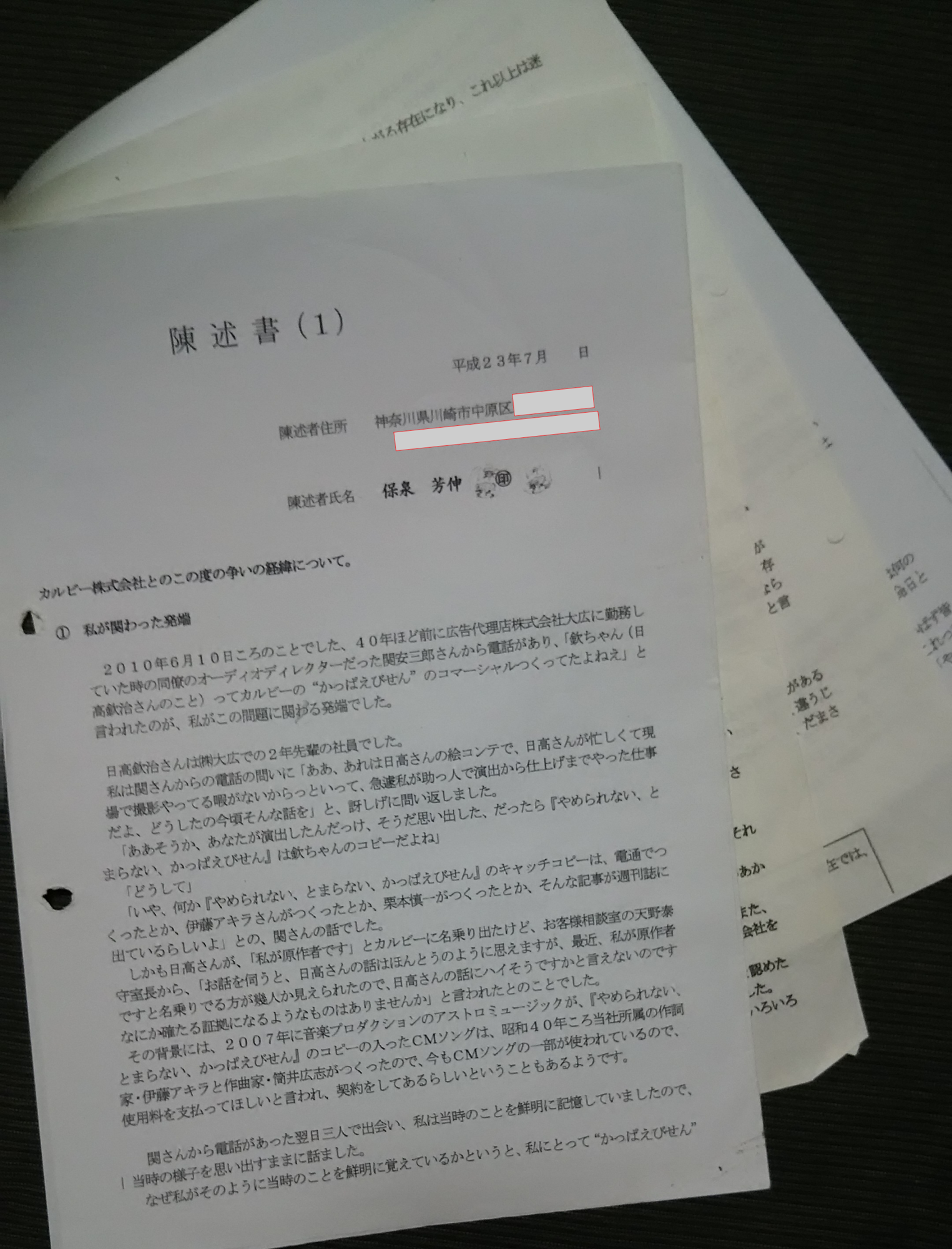 陳述書　保泉