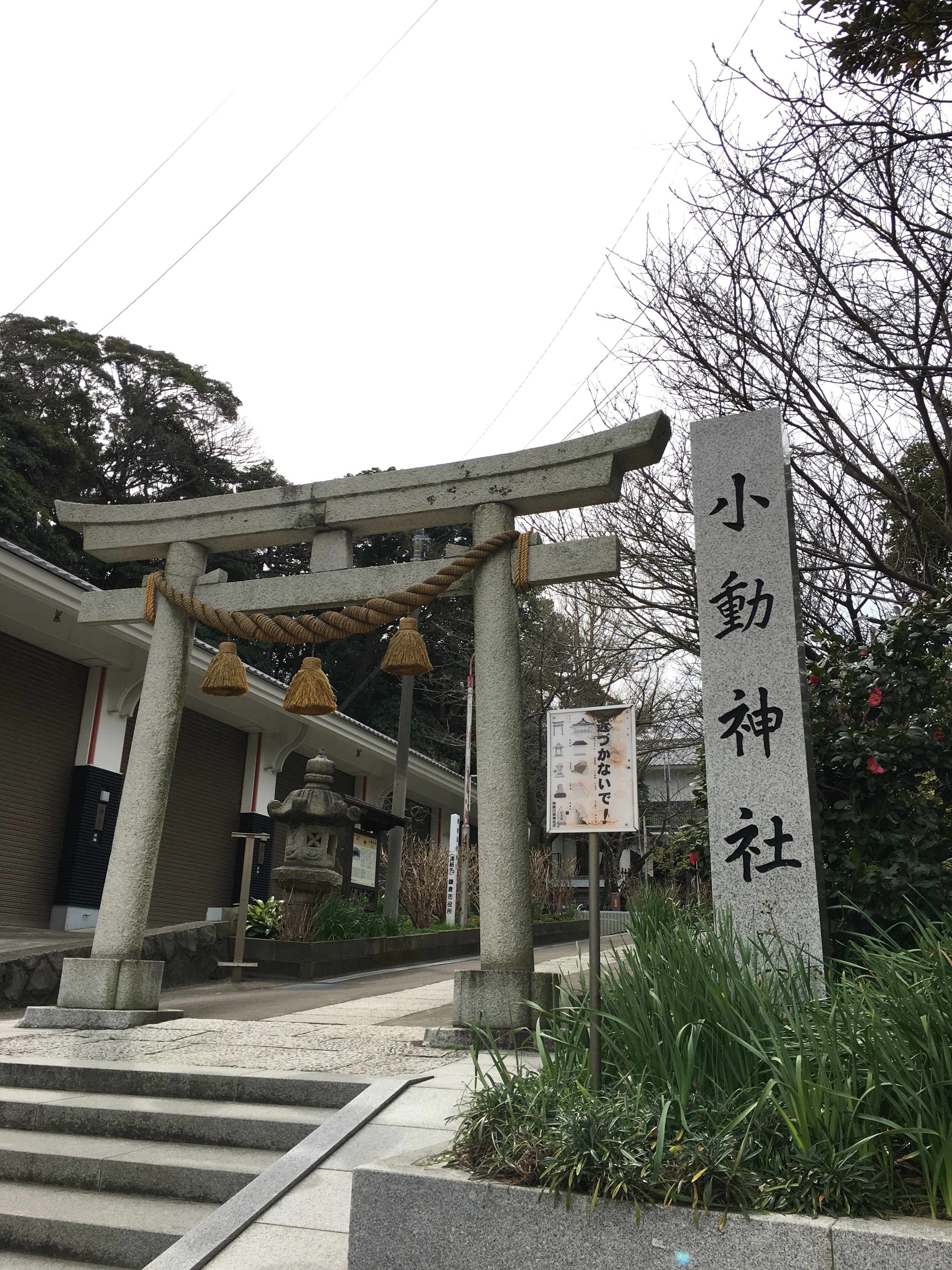f:id:sammyfafa:20170504184924j:image