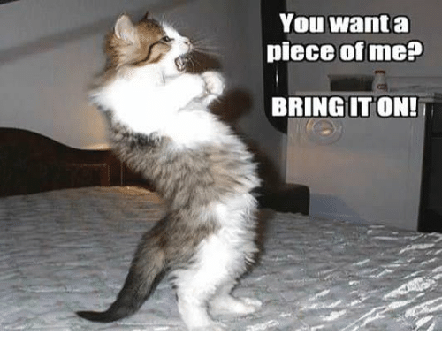 you-want-a-piece-of-me-bring-it-on-31579379.png