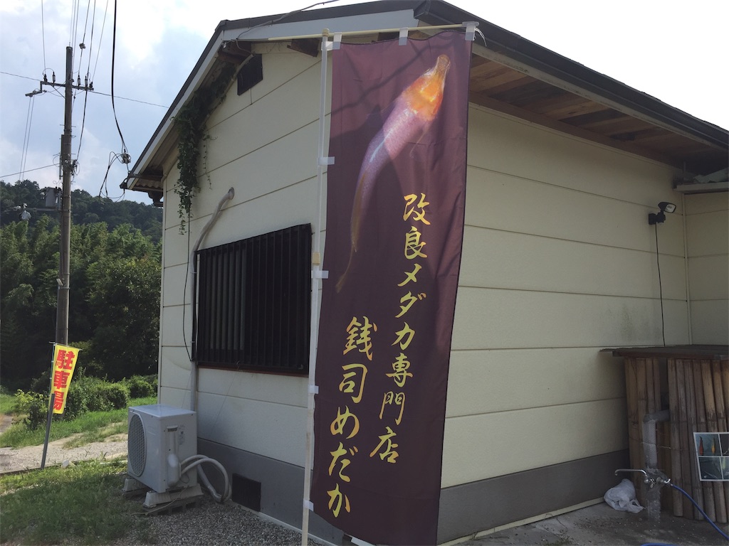 f:id:samosamo565:20190818194530j:image