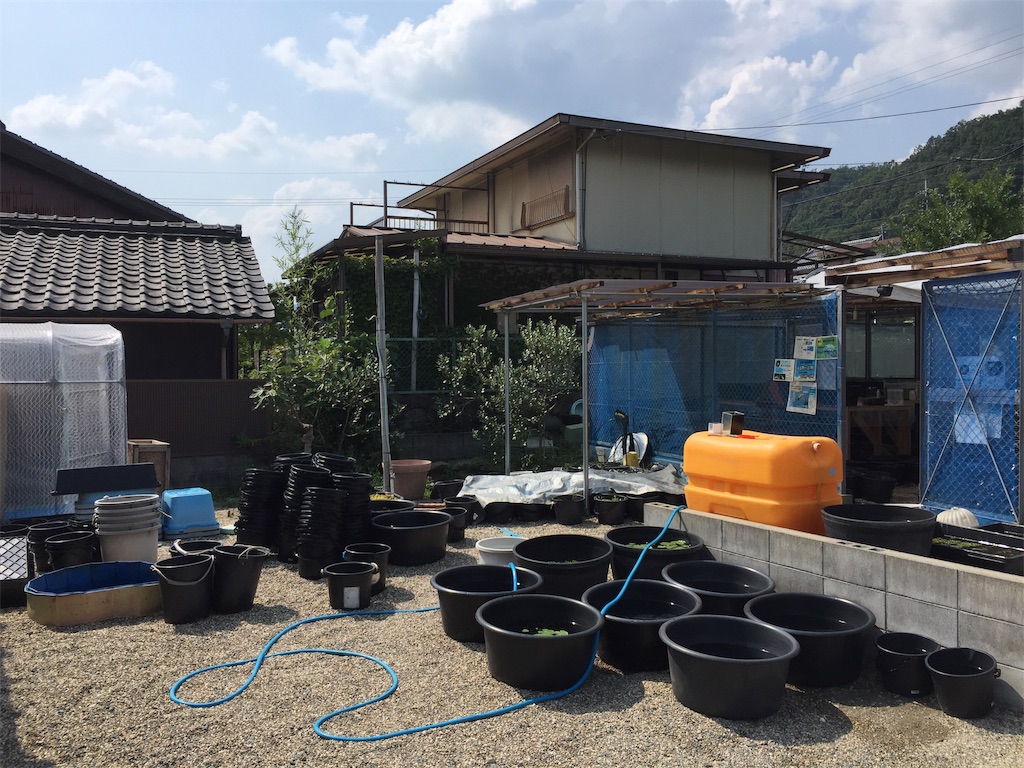 f:id:samosamo565:20190818194537j:image