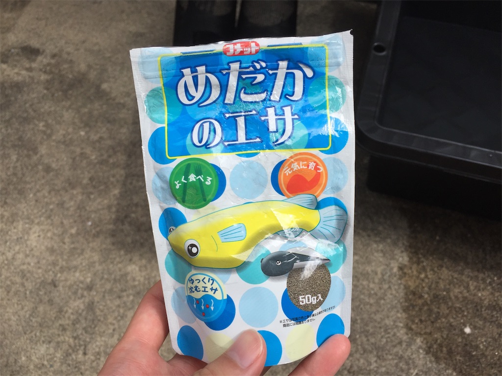 f:id:samosamo565:20190822112319j:image