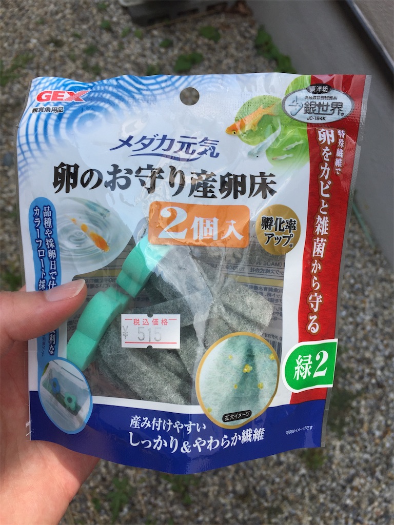 f:id:samosamo565:20190825225953j:image