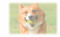 sampleの画像