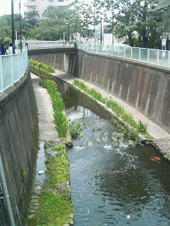 f:id:sampodow:20070517124051j:image