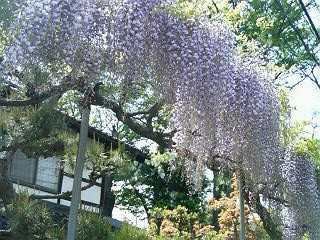 f:id:sampodow:20070517124336j:image