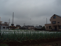 f:id:sampodow:20071113124906j:image f:id:sampodow:20071113124906j:image