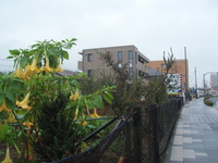 f:id:sampodow:20071113125053j:image f:id:sampodow:20071113125053j:image