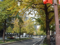 f:id:sampodow:20071128130056j:image