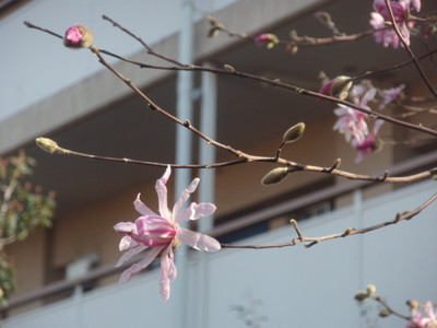 f:id:sampodow:20080323214549j:image