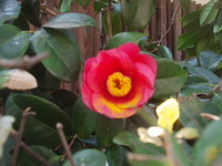 f:id:sampodow:20080323214629j:image