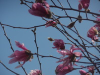 f:id:sampodow:20080323214634j:image