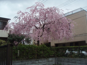 f:id:sampodow:20080331080644j:image f:id:sampodow:20080331080644j:image