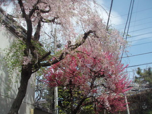 f:id:sampodow:20080412235934j:image f:id:sampodow:20080412235934j:image