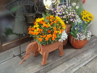 f:id:sampodow:20080413125608j:image f:id:sampodow:20080413125608j:image
