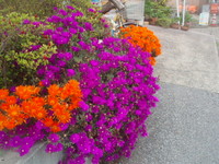 f:id:sampodow:20080413130714j:image f:id:sampodow:20080413130714j:image