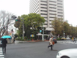 f:id:sampodow:20080414214132j:image f:id:sampodow:20080414214132j:image